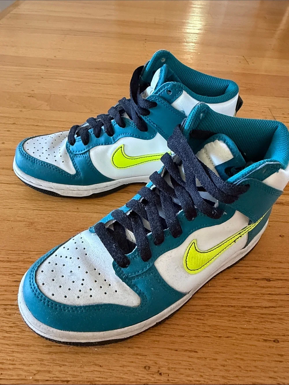 Nike DUNK HIGH 